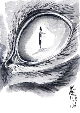 Black and white cat eye