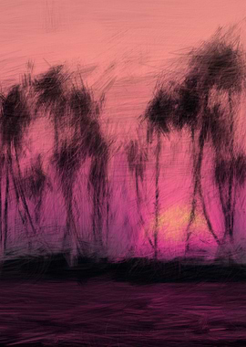 coconut palms and sunset