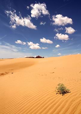 Utah Sand and Sky II