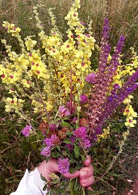 July mixed field bouquet