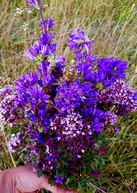 Purple field bouquet