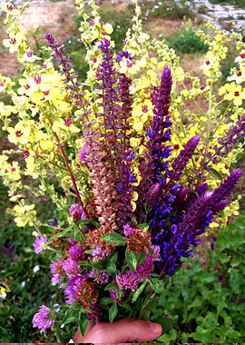 Couloufull july bouquet