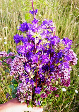 Purple field bouquet