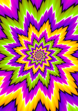 Colorful flower blossom