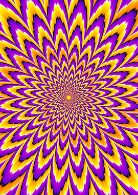 Yellow and purple flower