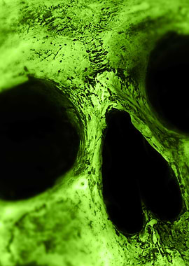 Neon Skull GREEN