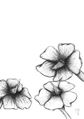 flowers black and white