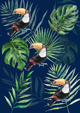 Tropical Toucans