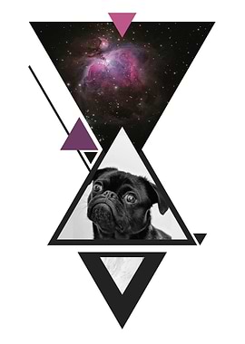 Space Pug