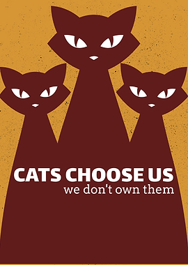Cats Choose Us