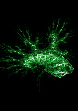 Green fractal