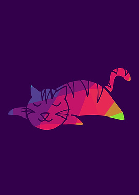 Rainbow Cat 18
