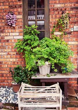Window Garden