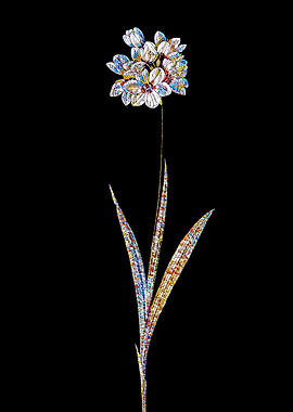 Stained Glass Ixia Flower