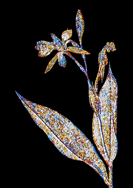 Stained Glass Iris Flower