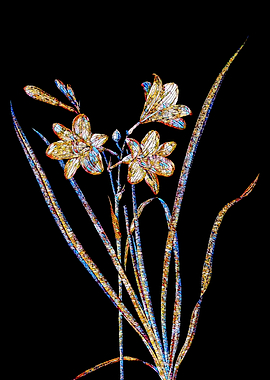 Prismatic Mosaic Botanical