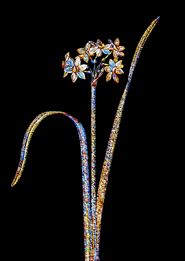 Stained Glass Daffodil