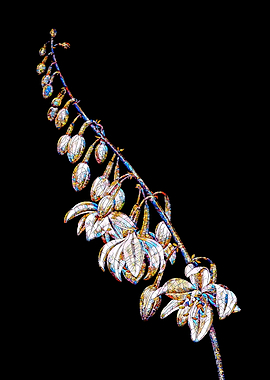 Prismatic Mosaic Botanical