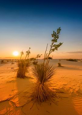 White Sands Sunset