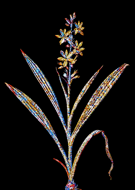Prismatic Mosaic Botanical