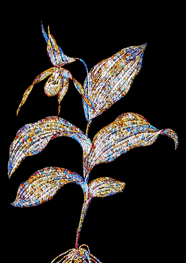 Prismatic Mosaic Botanical