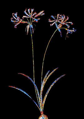 Stained Glass Botanical