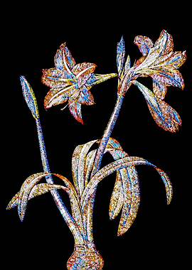 Stained Glass Amaryllis