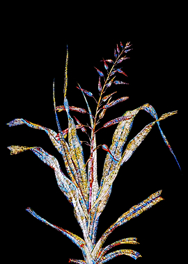 Rainbow Mosaic Flower Art