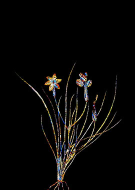 Prismatic Mosaic Botanical