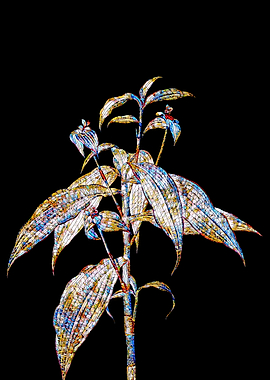 Prismatic Mosaic Botanical