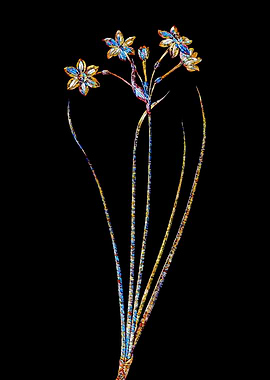 Stained Glass Daffodil