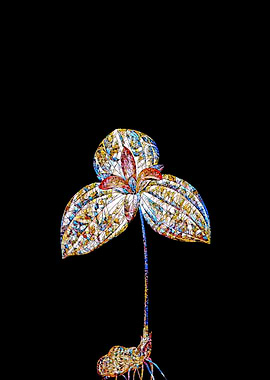 Prismatic Mosaic Botanical