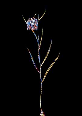 Stained Glass Botanical