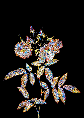 Stained Glass Rose Flower