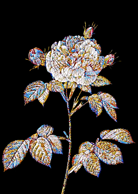 Prismatic Rose Mosaic