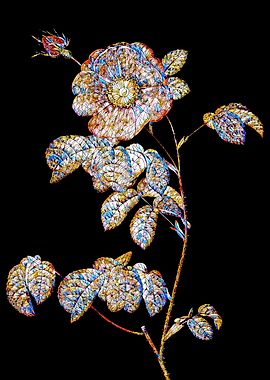 Prismatic Rose Mosaic
