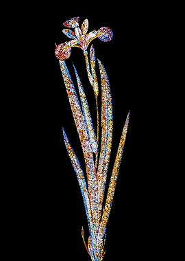 Prismatic Mosaic Botanical