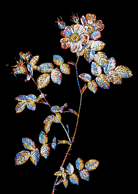 Stained Glass Rose Flower