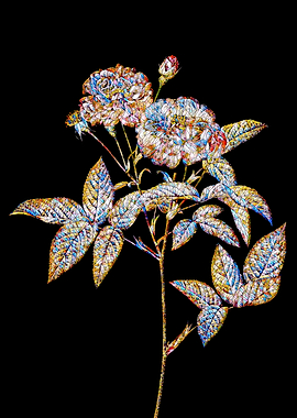 Prismatic Rose Mosaic