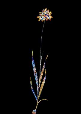Stained Glass Ixia Flower