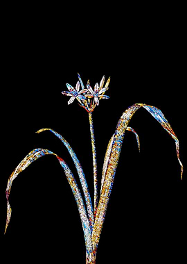 Rainbow Mosaic Flower Art