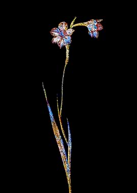 Prismatic Mosaic Lily