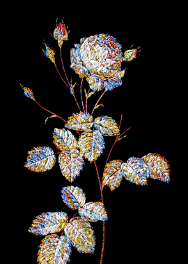 Stained Glass Rose Flower