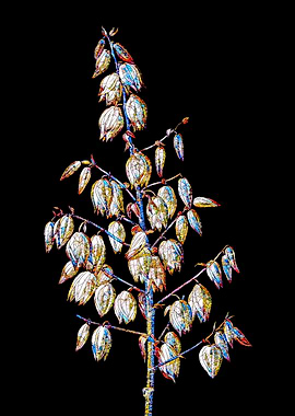 Stained Glass Botanical