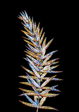 Prismatic Mosaic Botanical