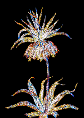 Prismatic Mosaic Botanical