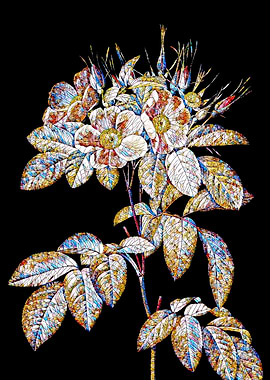 Stained Glass Rose Flower