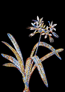 Stained Glass Botanical