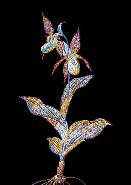 Stained Glass Botanical