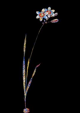 Stained Glass Ixia Flower